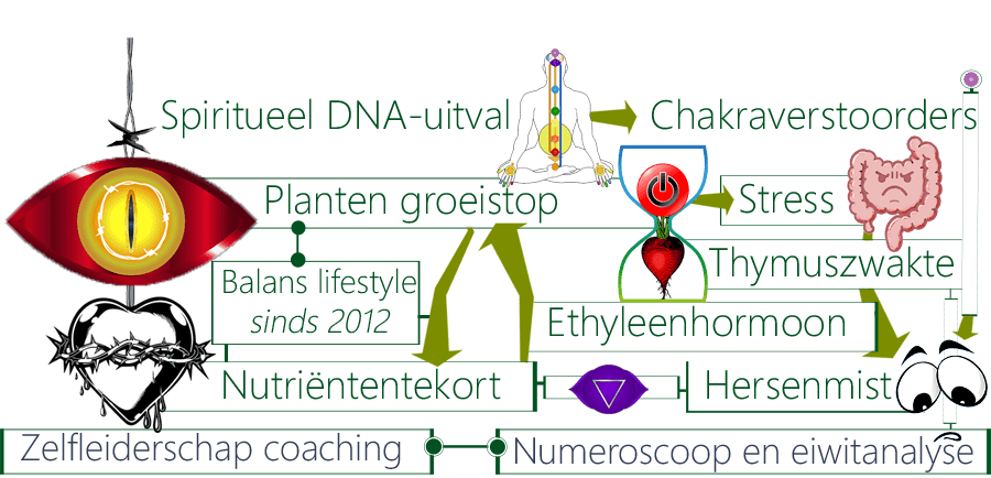 Anti-bedervende plantenhormonen zijn aura en chakraverstoorders en dan met name voor het voorhoofdchakra, waardoor hersenmist, thymuszwakte kan ontstaan Anti-bedervende plantenhormonen, chakraverstoorder, buikklachten, fluistermethode, breinmist, slapeloosheid, raadgever, luisteren, schreeuwen, waakstemgeluid, bloedrukverhoging, slapeloosheid, auraverstoorder, meridianen, plantenhormoon, reuma, osteoporose, skeletschreefgroei, voedingsstoffentekorten, foodwatch, onrijpe vruchten, ethyleenhormoon, darmimmuniteit, hormoonmiddelen, sterilisatiegas, ethyleenoxide, hooikoortsachtige, thymus, T-cellen, afweersysteem kippensoep, grazen, bio-industrie, kalveren, hoorns, schimmelinfecties, klauwzeer, doorbloedingsproblemen, lactatieproblemen, mineraaltekorten, koe, bloedsuikerspiegel, stressglucose, DHEA-S, verdienmodel, fastfood, vetten, galproblemen, transvetten, Becel, croma, ontstekingsbevorderend, transvet, snacks, fabrieksmatig, frituurverpakkingen, artritis, gewrichtsontsteking, loopproblemen, vermoeidheid, ijzertekort, voeten, kuiten, beenbloedcirculatie, voetchakra's, meridianentherapie