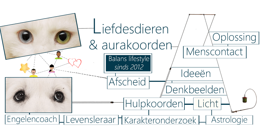 Liefdesdierenband, aartsengelenhulpkoord, dierenvriendgemis, hartverscheurend, transitiedieren, zielsaandoeningen, hartenpijn, zielscontacten, dieren, hond, kat, zielsovereenkomsten, gezelschapsdieren, rouwen, kwijtraken, depressief, verdrietig, uitputtingsverschijnselen, rouwgevoelens, dierenburn-out, leegte, marjoleinolie, lavendel, katten, lavendelolierustbehandeling, kattenhuisdier, gestrest, dierkarakter, dierenband, knuffelmomenten, dierenknuffels, troost, dierenbaasje, overlijd, uitlaten, dierhuisgenoot, krabben, gedragsverandering, aurawaakdier, viervoeter, surrogaatbaasje, roedeldier, noodplan, dierhuidklachten, vachtuitval, oplossing, dierenopvang, kwispelen, blaffen, opvanglocaties, opvangprogramma's, huisdierfondsen, overlijdensdekking, huisdierenverzekering, totemdier, dier