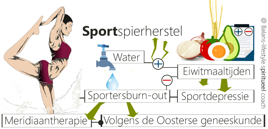 Sportspierhersteleiwitten, vocht, sportspierherstel, sportartikelen, spierhypoglykemie, spiereiwitten, eiwitmaaltijden, calorieënmaaltijden, spierkrachtverlies, eiwitten, spierherstellers, spierweefsels, Aminozuren, triggerpointpijn, sportersburn-out, sportersdepressie, miltmeridiaan, psoas, onrust, buikklachten, ijzertekort, topsporters, sportstress, darminflammatie, wielrennerstest, overtraining, spieropbouw, DHEA-A, testesteron, prostaat, vechtsport, sportvoeding, voedingsdeskundige