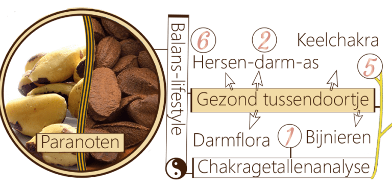 Paranoten, schildklierverstoring, cholesterol, darmgezondheid
