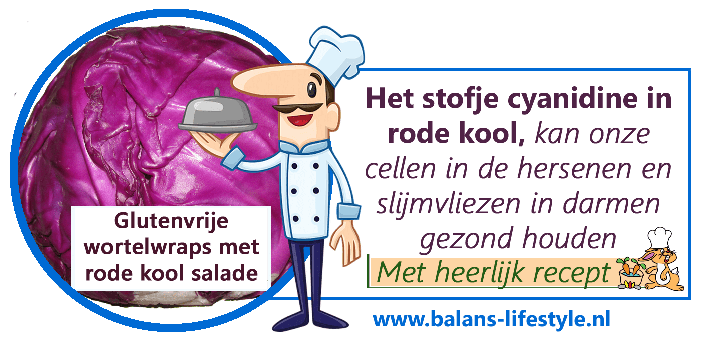 Rode kool, kan LDL cholesterol verlagen en bevordert een gezond gewicht Rode kool, kan LDL cholesterol verlagen en bevordert een gezond gewicht