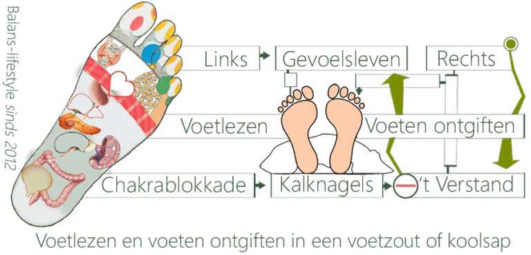 Voetlezen, voetzout bad, voeten ontgiften, voetproblemen, voetwondjes, voetcheck, voetenbad, koolsaptherapie, voetzoutbehandeling, voetvermoeidheid, voetanalyse, levensthema moeheid. triggerpointonderzoek, linkervoet, rechtervoet, gevoelsleven, kruinwijsheid, verstand, voetchakra's, teennagels, onderbeen, voetenergiedraaipunten, voetholte, voetzenuwpijn, diabetesvoet, onderlichaam, voetpijnklachten, zenuwpijn, bloedverzuring, darmmalabsorptie, neurotransmitterproblemen, infectieziekten, trauma's, leverintoxicaties, pedicure, voorvoet, zweetvoeten, eeltvoeten, teenklachten, voetklacht, hielspoor, peesplaatontsteking, voetinfecties, voetzorgboeken, podotherapeuten, voetzorgverleners