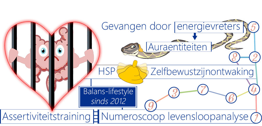 HSP-coaching, numeroscoop levensloopanalyse, nee leren zeggen, gelijkgestemden, auraentiteiten, spiegelprofiteur, projectieangst
